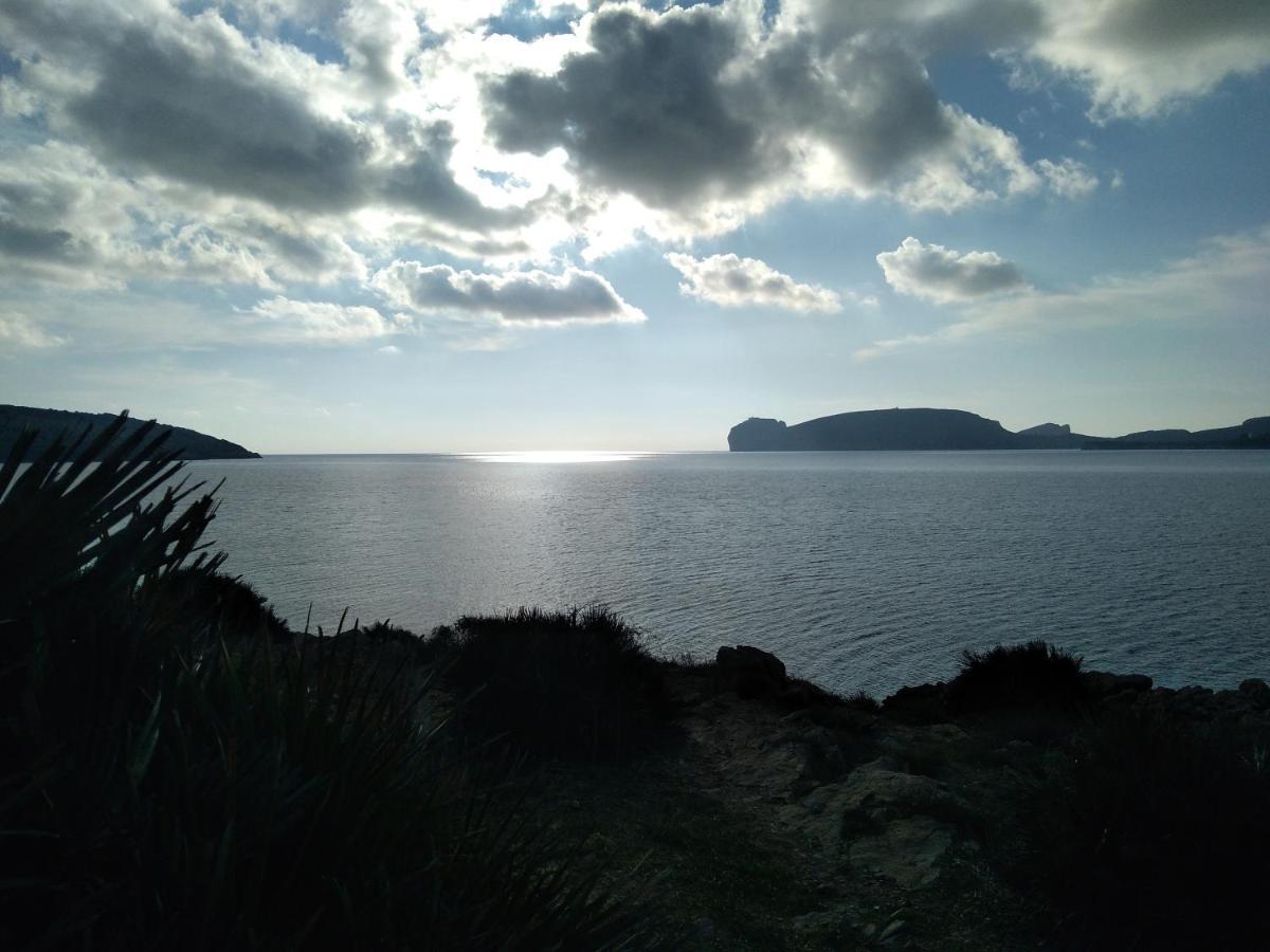 Piazza Ginnasio Affittacamere Alghero Exteriör bild
