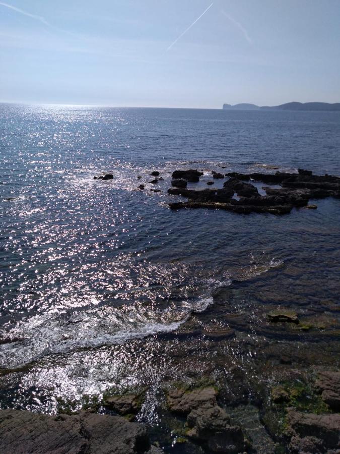 Piazza Ginnasio Affittacamere Alghero Exteriör bild